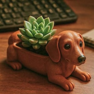 May include: A brown ceramic dachshund planter with a succulent plant growing inside. The planter is shaped like a dachshund dog with a long snout and short legs.