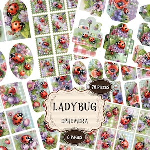 Fournitures pour journal indésirable coccinelle Scrapbooking coccinelle imprimable printanier journal indésirable coccinelle vintage shabby chic coccinelle découpes