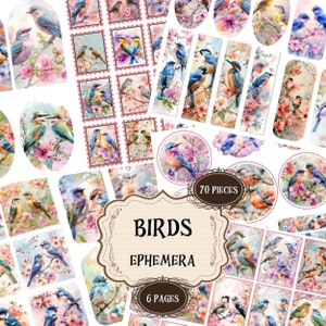 Birds Junk Journal Supplies Colorful Birds Scrapbook Printable Ephemera Spring Birds Junk Journal  Vintage Shabby Chic Birds CutOuts