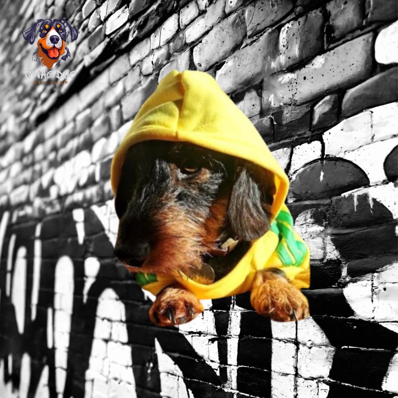 Adidog Sweat à Capuche pour Chiens Style Urbain et Confort Canin Assuré Jaune