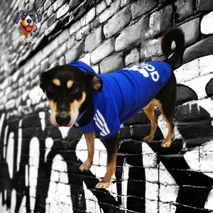 Adidog Sweat à Capuche pour Chiens Style Urbain et Confort Canin Assuré Bleu