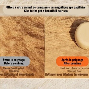 Brosse Vapeur Électrique 3 en 1 pour Chiens et Chats Massage, Nettoyage & Élimination des Poils zdjęcie 2