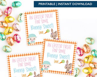 Printable Orange From Some Bunny Sweet Gift Tags | Instant Download | Easter Tags | Easter Treat Tags | Easter Gift Tags