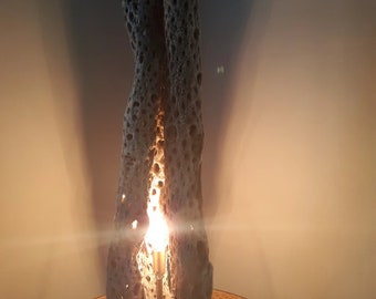 Cactus Skeleton Cholla Wood Lamp