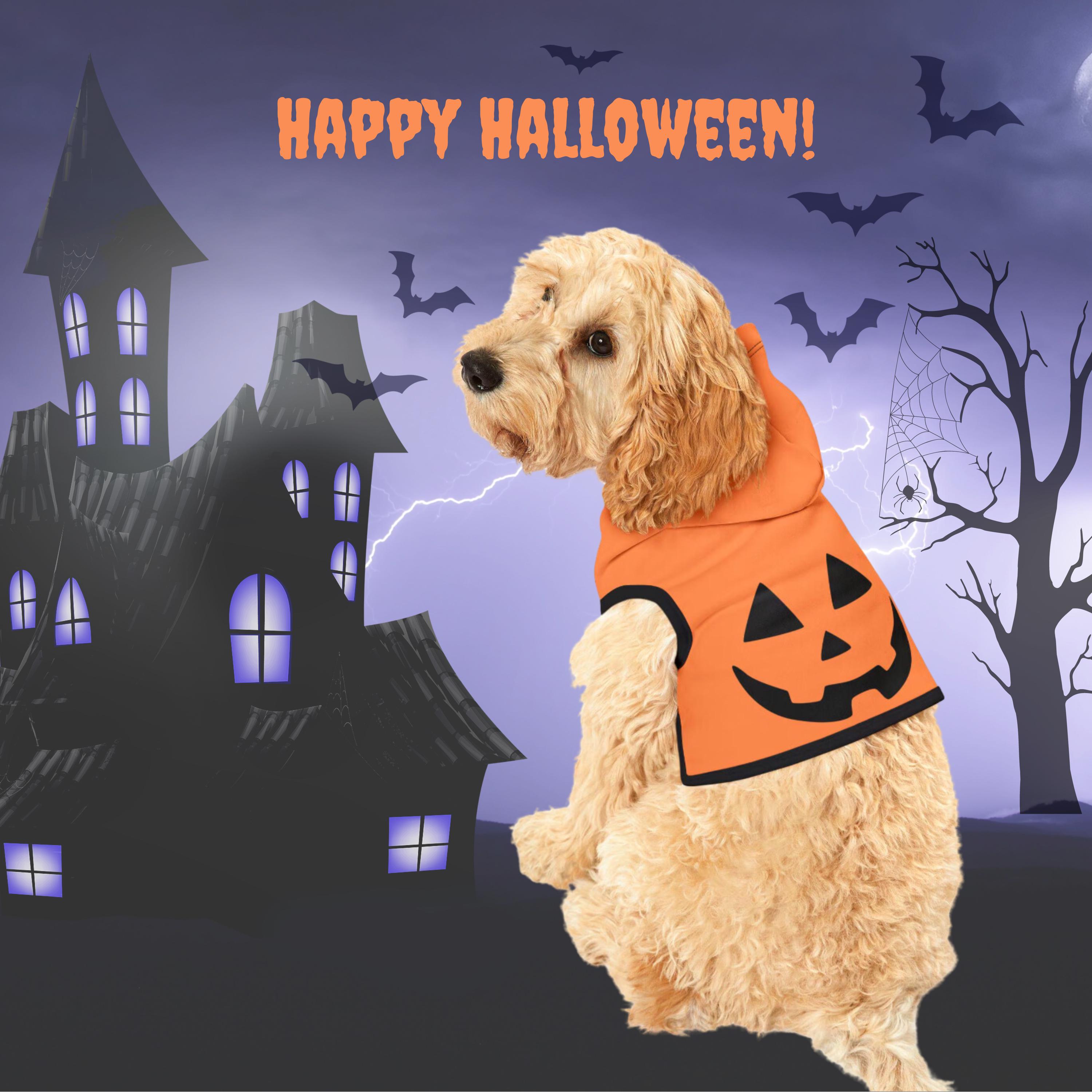 Dog pumpkin costumes outlet