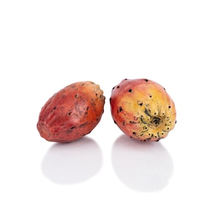 Puede incluir: Dos tunas maduras, mostrando una mezcla de tonos rojos, naranjas y amarillos. Las frutas tienen una piel texturizada con pequeños puntos oscuros. Se presentan sobre un fondo blanco liso, resaltando su aspecto natural.