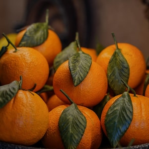 Handgemaakt oranje | Keramiek | Op ware grootte