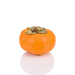 Handmade Persimmon | Ceramic | Real Life Size