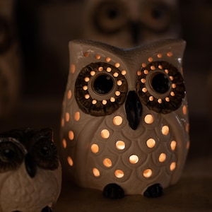Handmade Candle Holder Owl | Ceramic | White with Brown Eyes