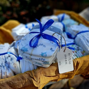 Peut inclure: Une pile de couches pour bébés attachée avec un ruban bleu, avec un motif de hibou et de feuilles bleu clair. Les couches sont dans un panier en osier doublé de tissu jaune. Une étiquette indique "millie moon nb."