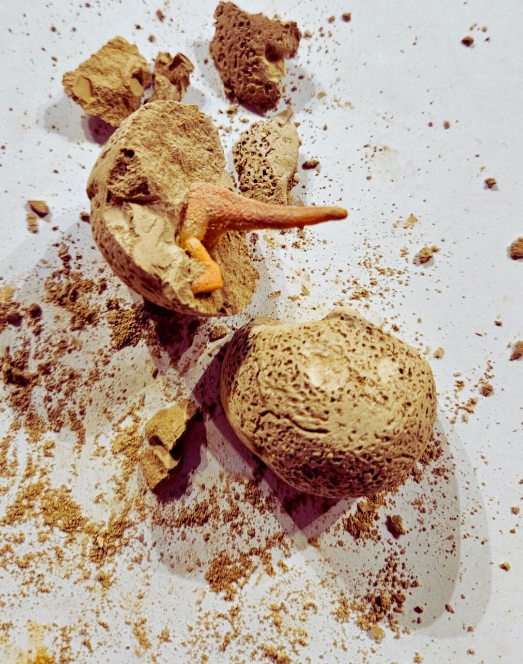 Dinosaur Box Science Dinosaur Activity Box: Crafts, STEM, Sensory Kit for Kids 6-10 - Etsy