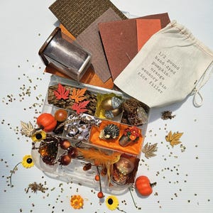 May include: A clear plastic organizer box filled with autumn-themed sensory items including small orange pumpkins, faux leaves, a hedgehog figurine, and a drawstring bag labeled 1/2 pound hand-dyed pumpkin-orange sensory bin rice filler.