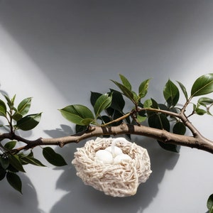 May include: A white bird's nest with white eggs inside, hanging from a branch of a green leafy tree against a light gray background.