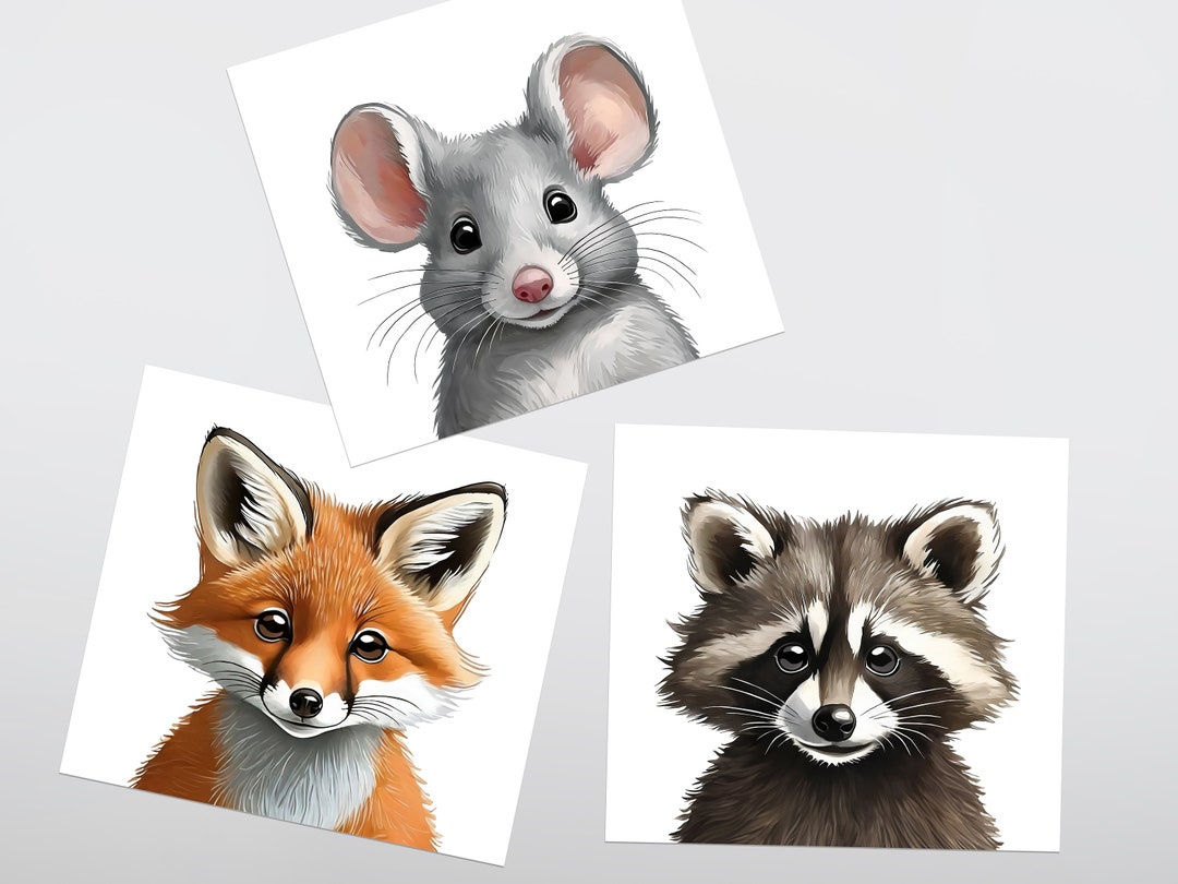 Mouse Rabbit Raccoon Urban Animal Portraits Digital Download Raccoon, Fox, Mouse Collection ...