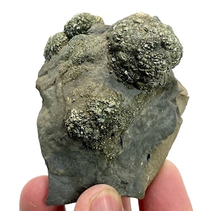 Cristal de marcasite/pyrite naturel de haute qualité, forme unique, 237 grammes sur matrice en provenance du PAKISTAN