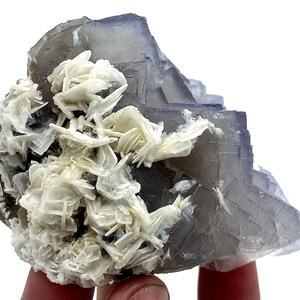 May include: A cluster of purple fluorite crystals with white barite crystals. The fluorite is translucent and has a glassy luster. The barite is opaque and has a pearly luster.