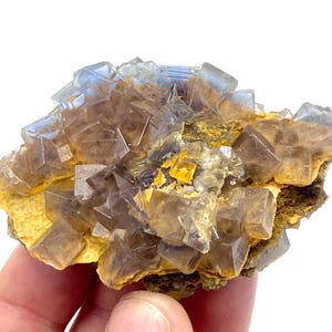 May include: A cluster of cubic fluorite crystals in shades of brown, yellow, and blue. The crystals are clustered together, creating a textured surface. The mineral specimen is a natural, geological formation.