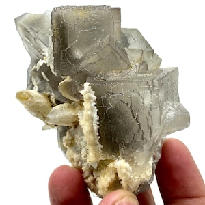 Puede incluir: Un grupo de cristales de fluorita cúbicos y translúcidos en tonos grises y amarillos. Los cristales están entrelazados con cuarzo blanco y beige, creando un espécimen mineral natural. El espécimen está sostenido por una mano.