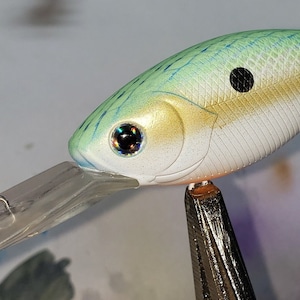 Custom Painted Deep Diving Crankbait