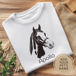 American Paint Shirt. Equestrian Gift. Custom T-shirt. Paint Horse Shirt. Horse Lover Gift. Personalized Gift. Equestrian Shirt. Horse Gift