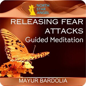 May include: A guided meditation audio download with a butterfly on a flower against a brown background. The text reads "Releasing Fear Attacks Guided Meditation" and "Mayur Bardolia".