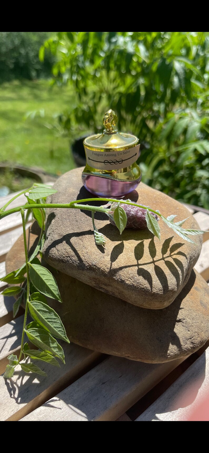 Black Walnut Salve Antifungal Remedy Foot, Toenail Herbal Salve Etsy
