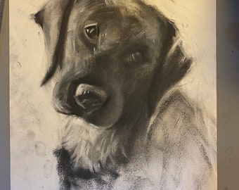 Custom Charcoal Pet dog drawing in A4