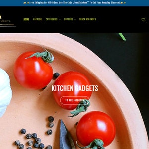 Anubis- Shopify Theme Store, E-commerce Website, Shopify Design, Shopify Theme Template