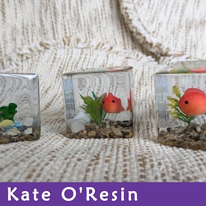 May include: Three clear resin cubes with a miniature orange fish, green plants, and white pebbles inside. The cubes are arranged in a row on a beige textured surface.