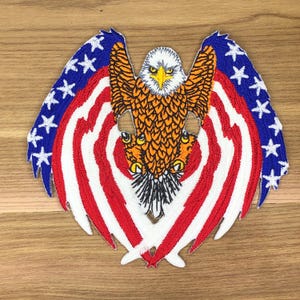 USA Bald Eagle Flag Patch: Glow in the Dark, Tactical Morale