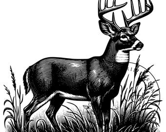 Buck Svg, cerf de Virginie SVG, téléchargement numérique Big Buck, chasse au chevreuil, chasse SVG, SVG Buck, Silhouette, Cricut, gravure laser