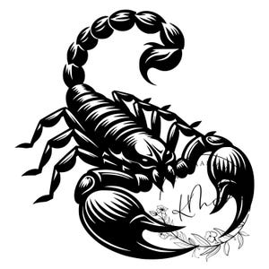 Scorpion Svg, Scorpion Tattoo Art, Scorpion Clipart Digital Download, Tattoo Design, Tattoo Clipart, Scorpion PNG, Scorpion JPG