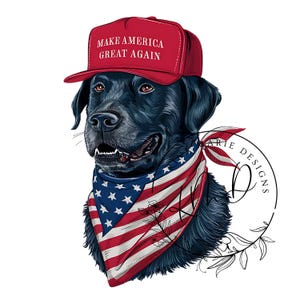 Puede incluir: Un Labrador Retriever negro con una gorra roja "Make America Great Again" y una bandana roja, blanca y azul.