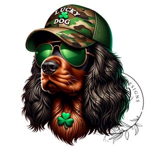 May include: A brown and black Cocker Spaniel dog wearing a green camouflage baseball cap with the text "LUCKY DOG" and green sunglasses. The dog has a green shamrock on its neck.