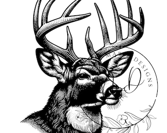 Deer Head Drawing Svg, Whitetail Deer SVG, Big Buck Digital Download, Deer Hunting, Hunting SVG, Buck SVG, Cricut, Xtool, Laser Engraving