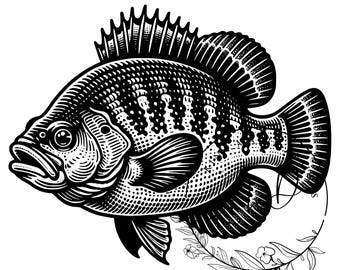 Crappie Drawing Svg, Crappie Cricut SVG, Crappie Digital Download, White Perch Fishing Fishing SVG, XTool SVG, Silhouette, Laser Engraving