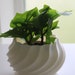 see more listings in the Vase / Cache-pot section