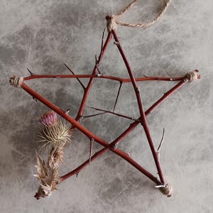 May include: A rustic, five-pointed star ornament crafted from reddish-brown twigs, bound with twine at the joints. A dried thistle flower with purple and beige hues is attached to the star's lower left side. A natural jute string is attached for hanging.