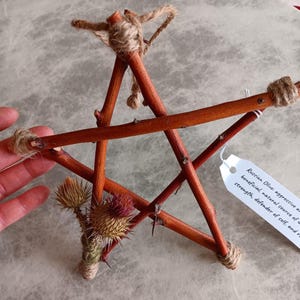 May include: A handcrafted wooden star made from twigs, tied together with twine. The star features dried thistles and a tag with text about Russian Olive. The star is a rustic, natural decorative item.
