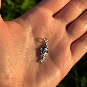 May include: A small, silver-colored fish charm with detailed scales and fins. The charm has a loop at the top for attaching to a necklace or bracelet. The charm is held in an open hand against a blurred green background.