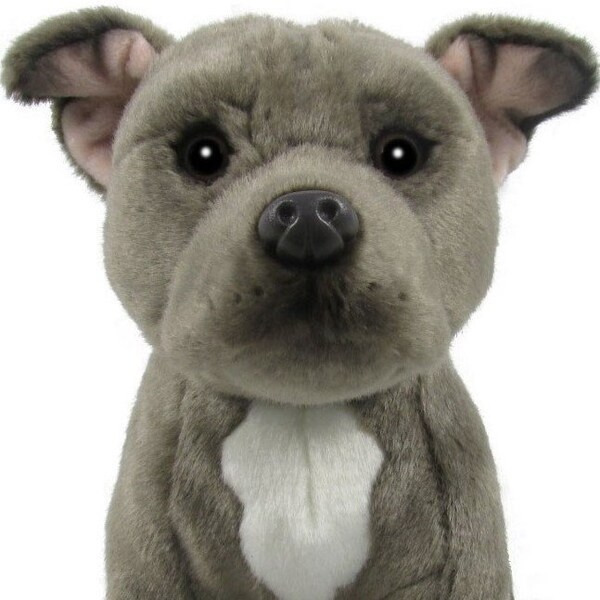 Staffordshire Bull Terrier (Blue) 12” Handmade Cuddly Toy