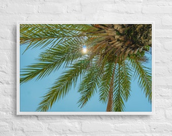 Framed canvas, Tropical, Coconut, Scenary