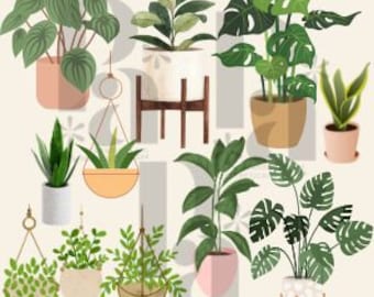 Houseplants Clipart illustrations | Potted Plants PNG Download | indoor greenery, botanical graphics, commercial use, png instant download