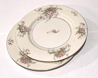 Vintage 1960s Theodore Haviland Apple Blossom pattern large dinner plates