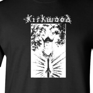 Camisa metálica negra