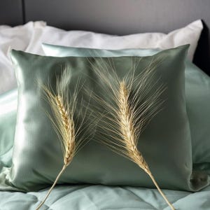 Taie d'oreiller 100% soie de mûrier - 19 Momme - Certifiée OEKO TEX