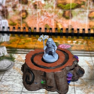 Male Gnome Druid