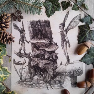 Wood Fairies Pencil & Ink Art Print (18.5x26cm) High Quality Print - Etsy