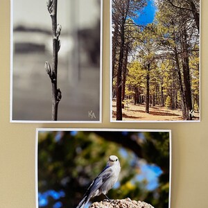 Tarjetas de felicitación con foto hechas a mano (juego de 3) Naturaleza, En blanco, Tarjeta de agradecimiento, Personalizada, Hecha a mano, Bonita, Boda, Invitación, Cumpleaños