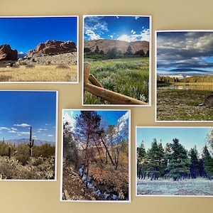 Tarjetas de felicitación con foto: juego de 6 tarjetas variadas con motivos de naturaleza, flores, árboles y paisajes, en blanco, gracias, personalizadas, hechas a mano, para bodas, invitaciones y cumpleaños